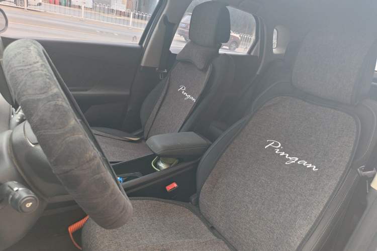 Used BYD e2 2020 Upgraded Model Standard Range Version Comfort Edition Left Front Seat