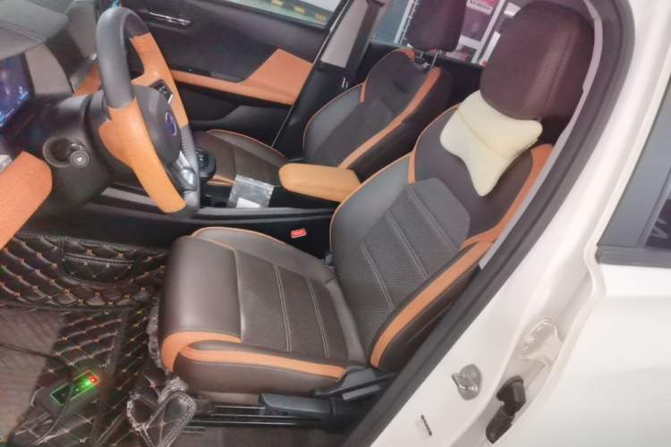Used BYD e2 2020 Upgraded Model Standard Range Version Comfort Edition Left Front Seat