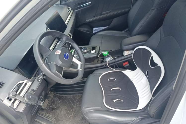 Used BYD e2 2020 Upgraded Model Standard Range Version Standard Configuration Left Front Seat