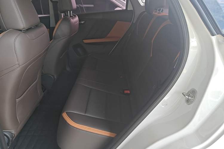 Used BYD e2 2020 Upgraded Version Long-Range Edition Luxury Model Left Rear Seat