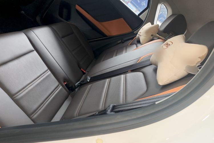 Used BYD e2 2020 Upgraded Version Long-Range Edition Luxury Model Left Rear Seat