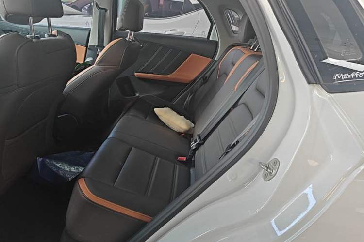 Used BYD e2 2020 Upgraded Version Extended Range Edition Premium Model Left Rear Seat