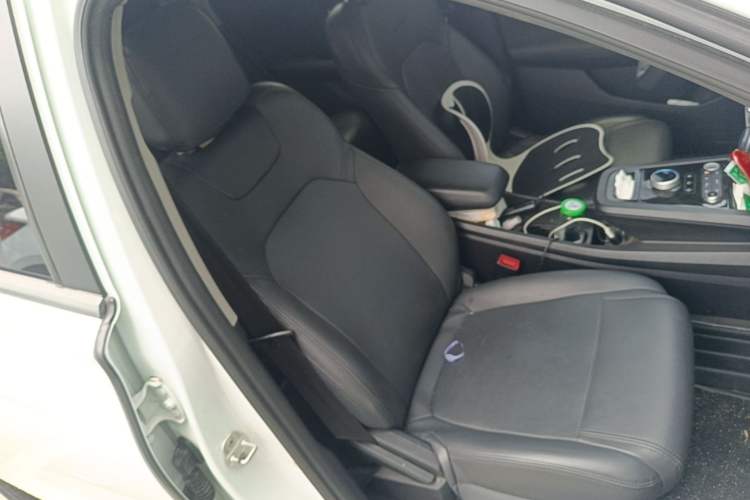 Used BYD e2 2020 Upgraded Model Standard Range Version Standard Configuration Right Front Seat