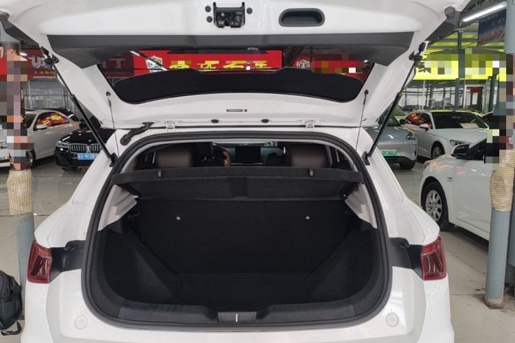 Used BYD e2 2020 Upgraded Version Long-Range Edition Luxury Model Trunk