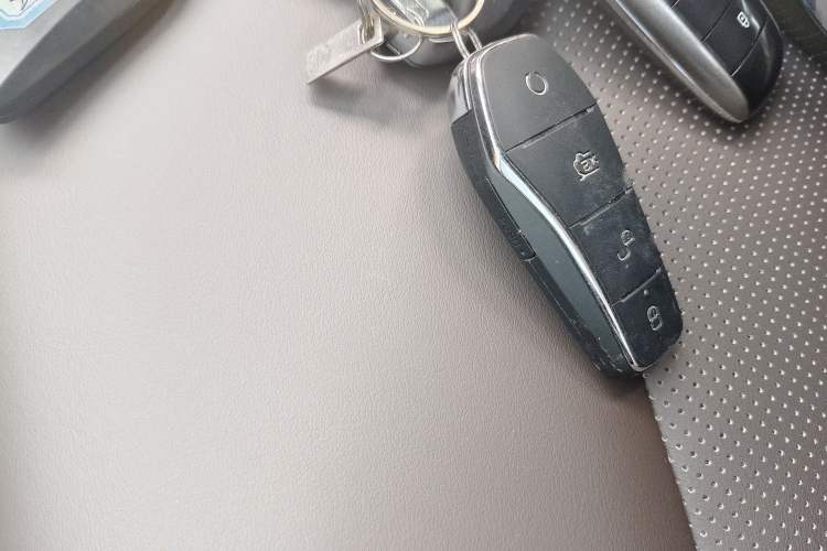 Used BYD e2 2020 Upgraded Version Long-Range Edition Luxury Model Vehicle Key