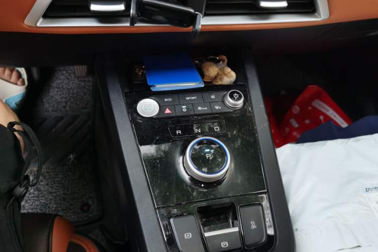 Used BYD e2 2021 Luxury Model Gear Lever