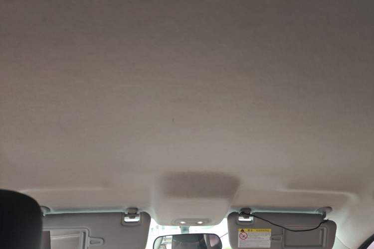 Used BYD e2 2021 Luxury Model Headliner