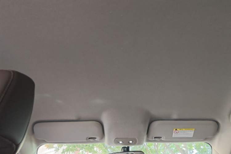 Used BYD e2 2021 Luxury Model Headliner
