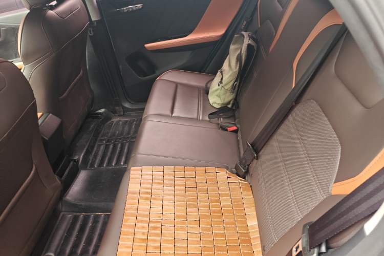 Used BYD e2 2021 Luxury Model Left Rear Seat