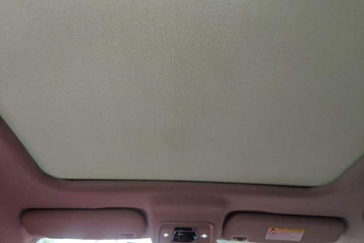 Used BYD e2 2021 Deluxe Model Headliner