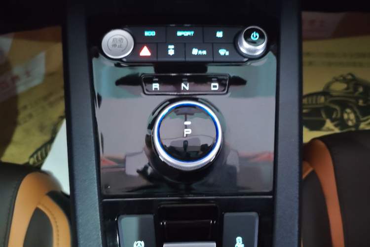 Used BYD e2 2021 Luxury Model Gear Lever