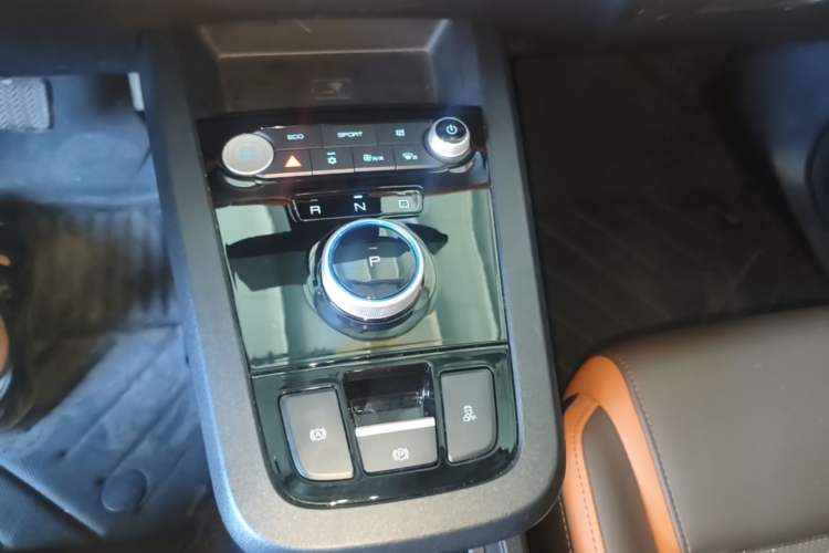 Used BYD e2 2021 Luxury Model Gear Lever