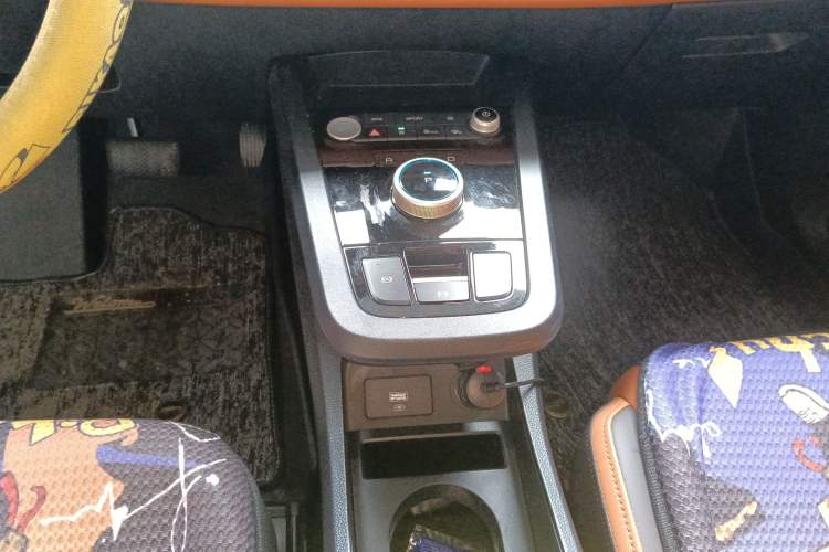Used BYD e2 2021 Luxury Model Gear Lever