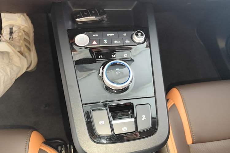 Used BYD e2 2021 Luxury Model Gear Lever
