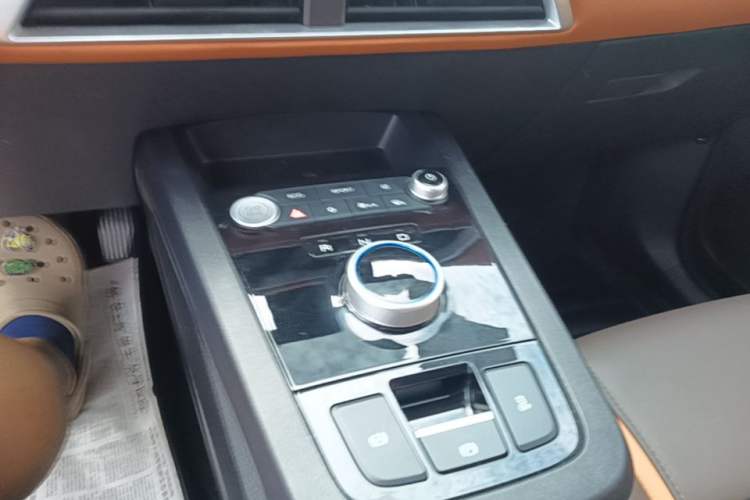 Used BYD e2 2021 Luxury Model Gear Lever