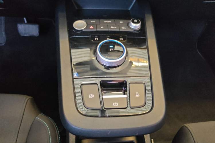 Used BYD e2 2021 Comfort Model Gear Lever