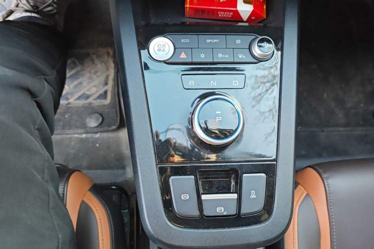 Used BYD e2 2021 Luxury Model Gear Lever