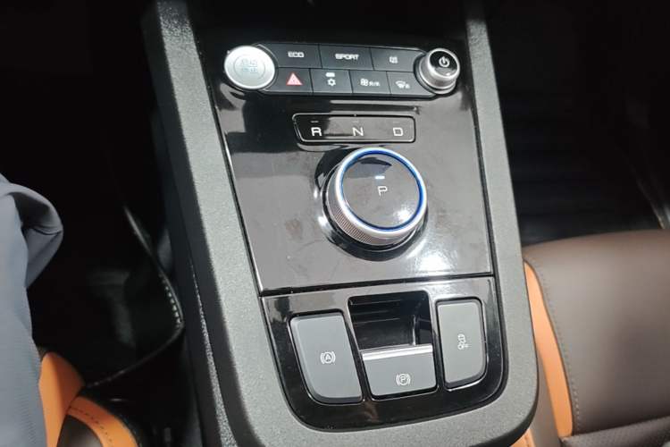 Used BYD e2 2021 Luxury Model Gear Lever