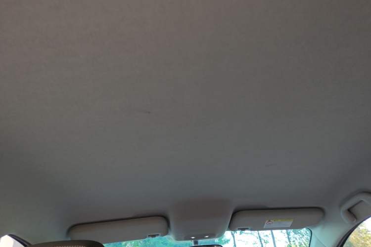Used BYD e2 2021 Luxury Model Headliner