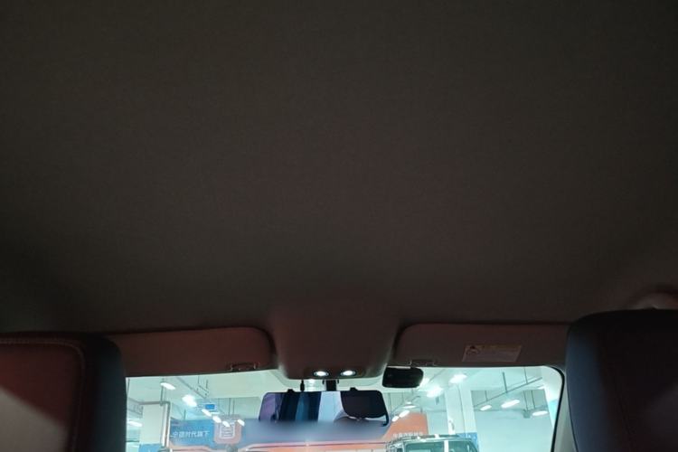 Used BYD e2 2021 Luxury Model Headliner