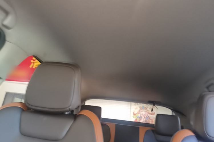 Used BYD e2 2021 Luxury Model Headliner