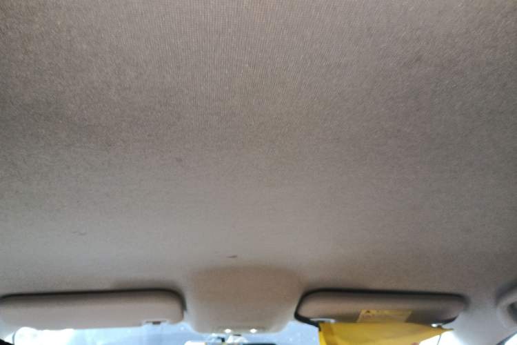 Used BYD e2 2021 Luxury Model Headliner