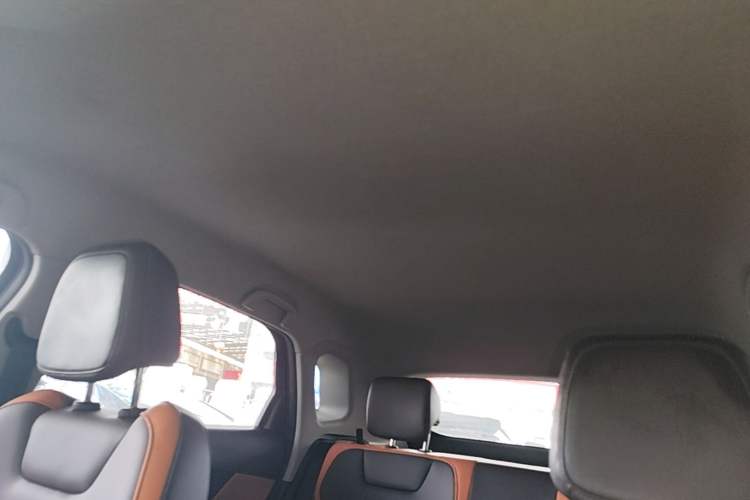 Used BYD e2 2021 Luxury Model Headliner
