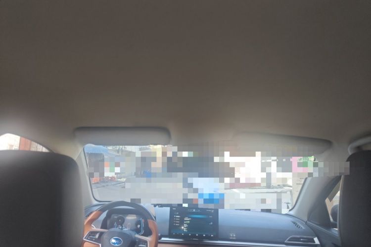 Used BYD e2 2021 Luxury Model Headliner