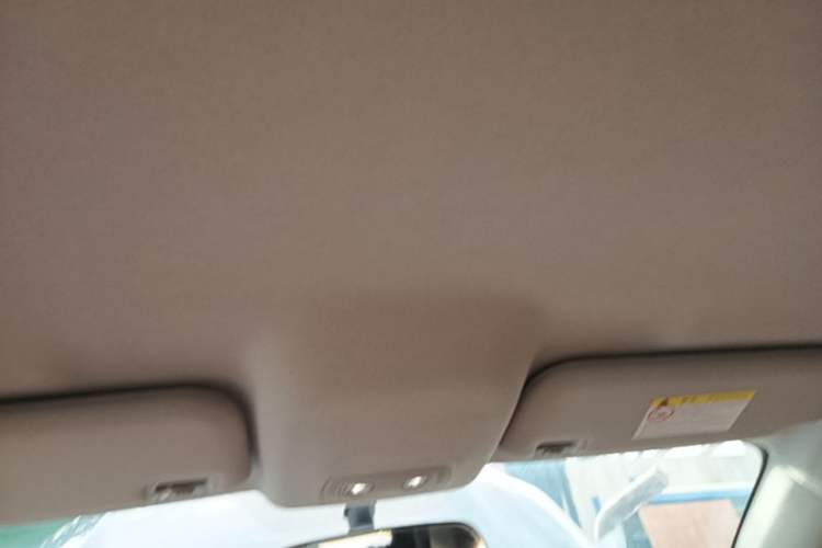 Used BYD e2 2021 Luxury Model Headliner
