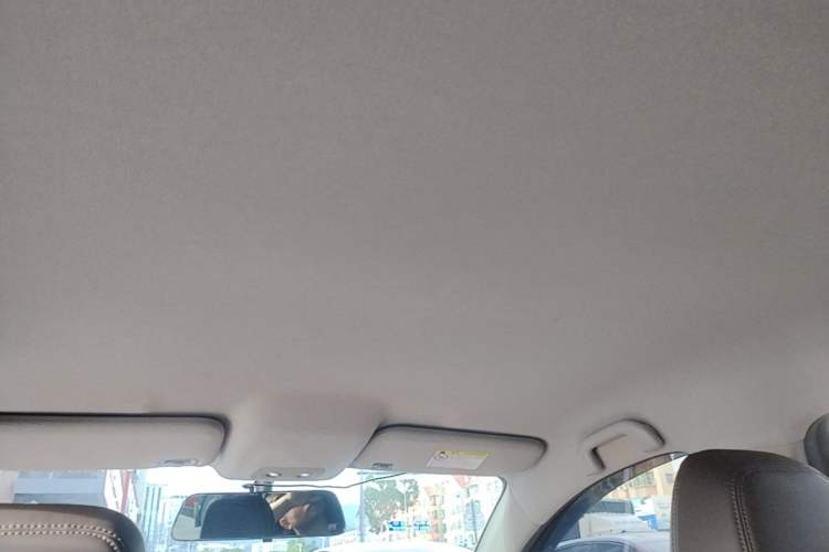 Used BYD e2 2021 Luxury Model Headliner