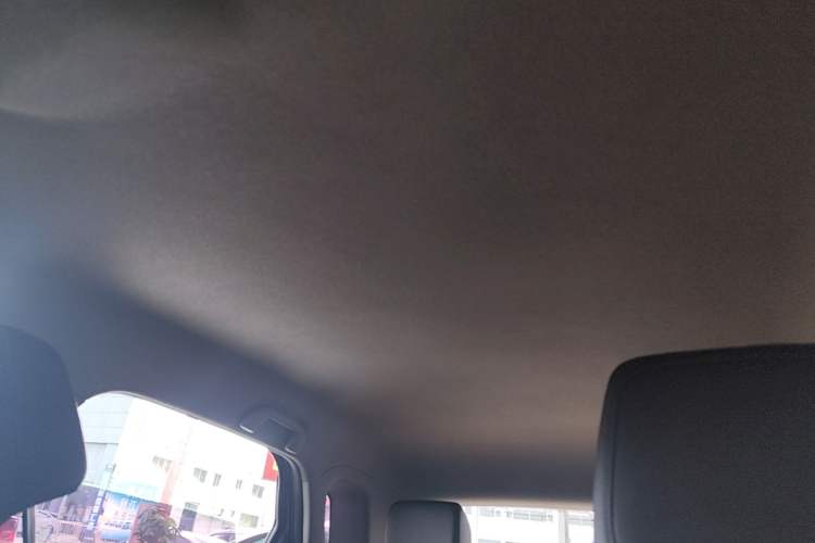 Used BYD e2 2021 Comfort Model Headliner