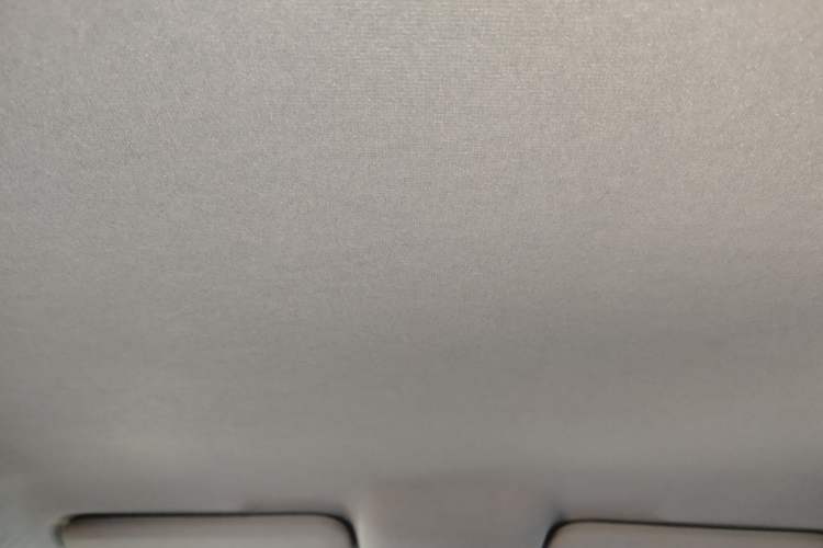 Used BYD e2 2021 Luxury Model Headliner