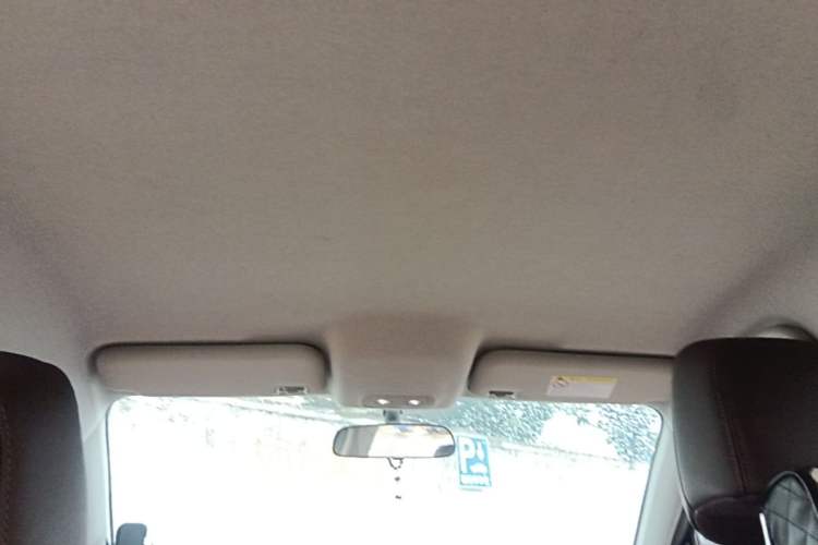 Used BYD e2 2021 Luxury Model Headliner