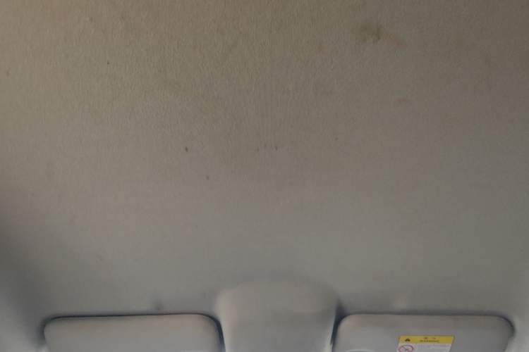 Used BYD e2 2021 Luxury Model Headliner