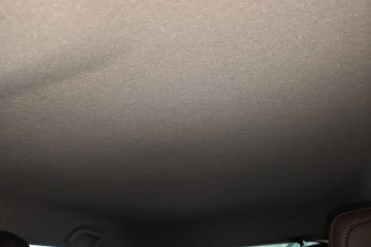 Used BYD e2 2021 Luxury Model Headliner