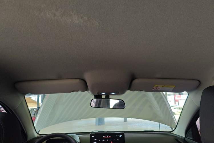 Used BYD e2 2021 Comfort Model Headliner