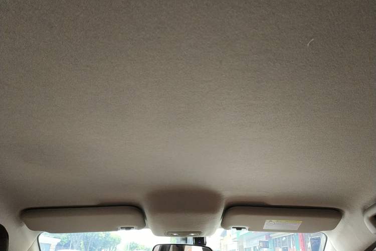 Used BYD e2 2021 Luxury Model Headliner