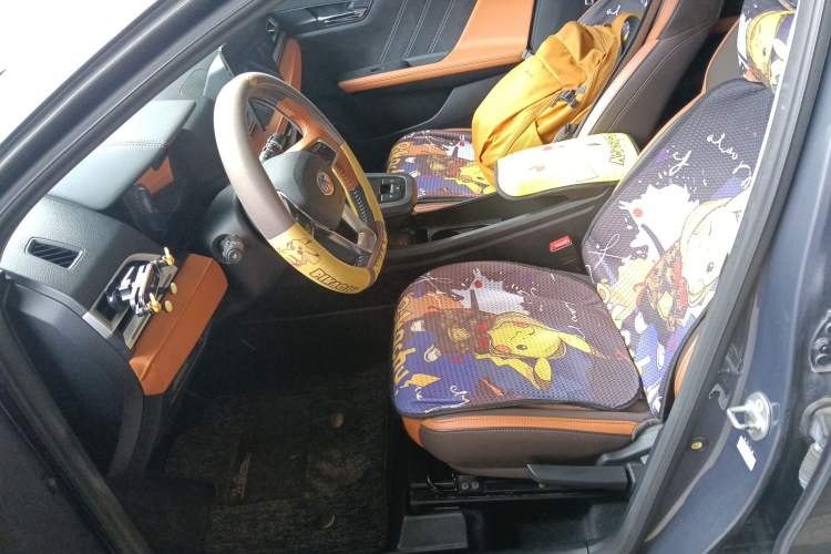 Used BYD e2 2021 Luxury Model Left Front Seat