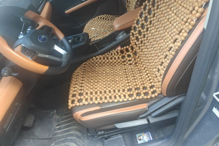 Used BYD e2 2021 Luxury Model Left Front Seat