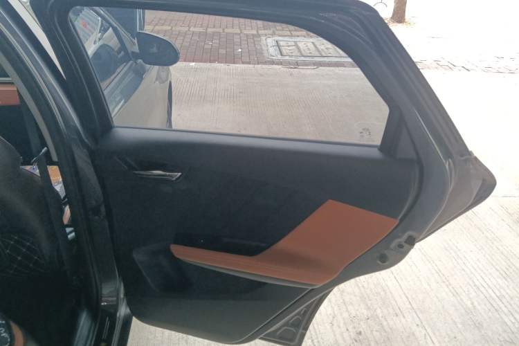 Used BYD e2 2021 Luxury Model Right Rear Door Interior