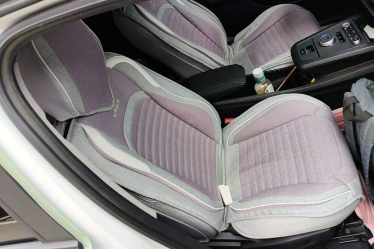 Used BYD e2 2021 Standard Model Right Front Seat