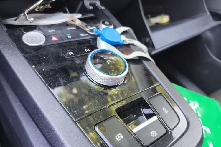 Used BYD e2 2021 Luxury Model Gear Lever