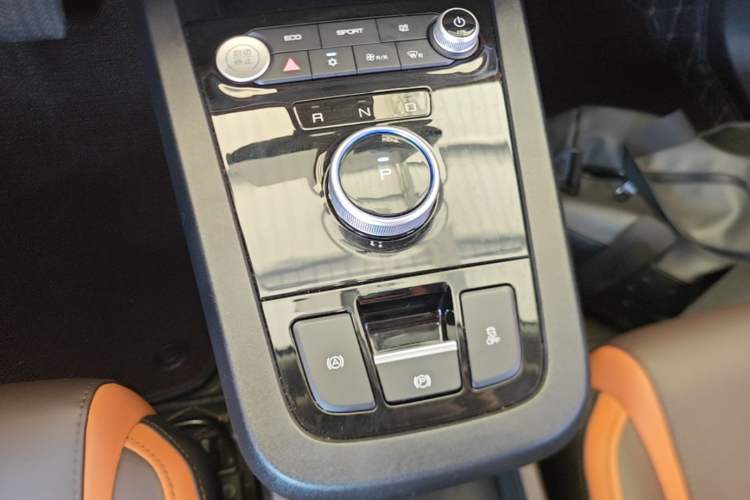 Used BYD e2 2021 Luxury Model Gear Lever