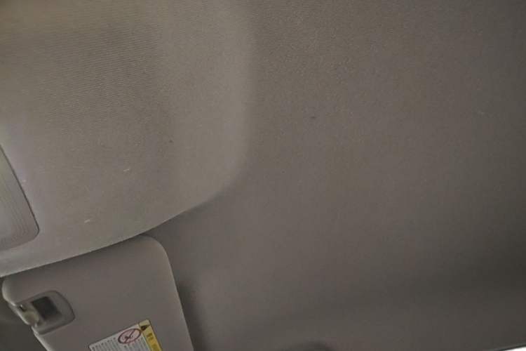 Used BYD e2 2021 Luxury Model Headliner