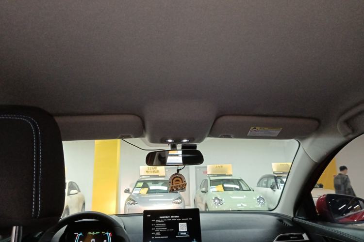 Used BYD e2 2021 Comfort Model Headliner