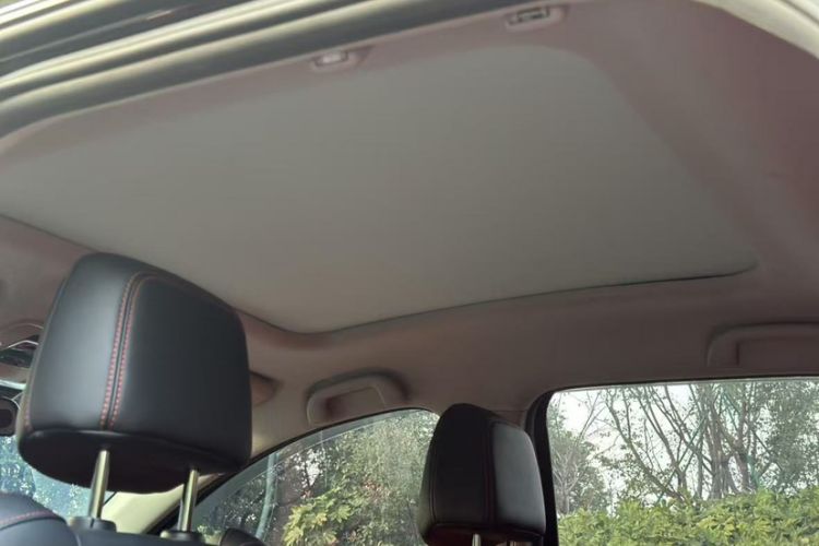 Used BYD e2 2021 Deluxe Model Headliner