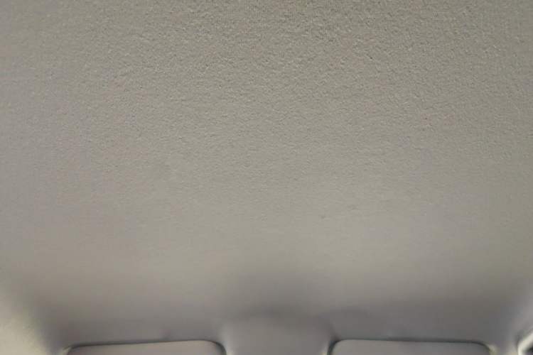Used BYD e2 2021 Luxury Model Headliner