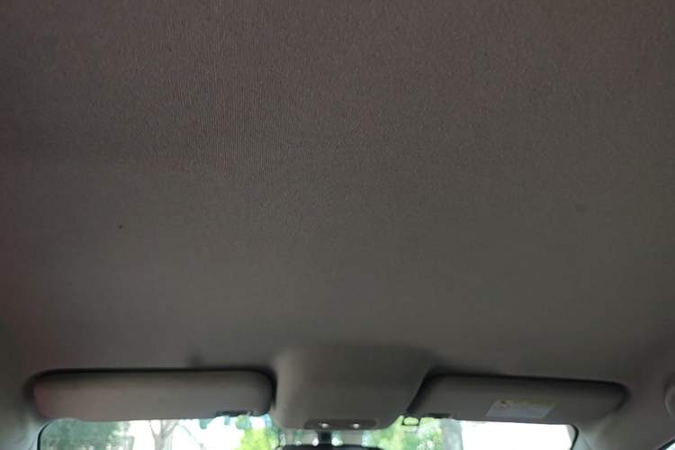 Used BYD e2 2021 Luxury Model Headliner
