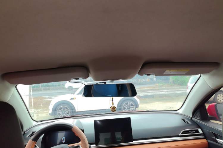 Used BYD e2 2021 Luxury Model Headliner
