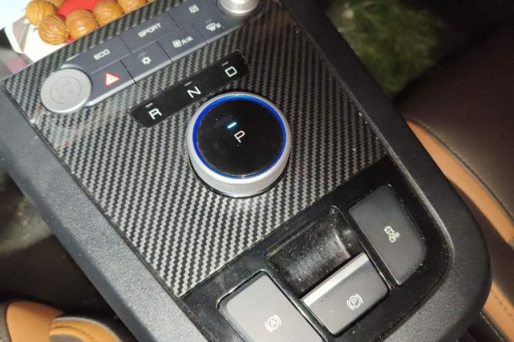 Used BYD e2 2021 Deluxe Model Gear Lever
